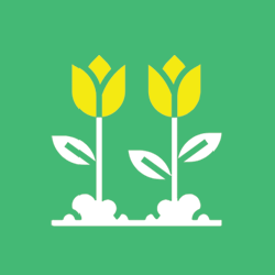 spring season icon: light green square with yellow tulips