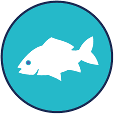 do you fish? icon: white fish in blue circle